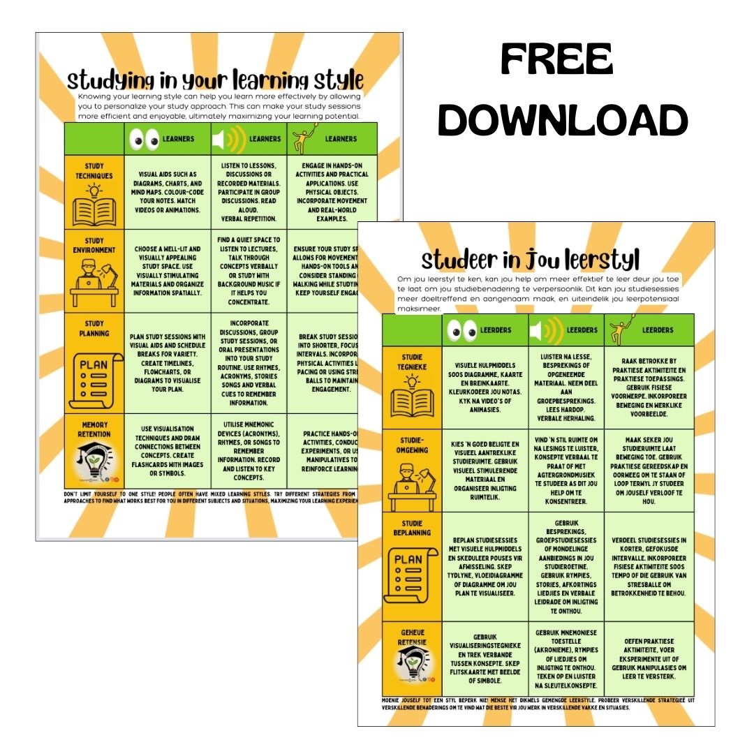 Learning Style Poster A3 PDF (Afrikaans and English)
