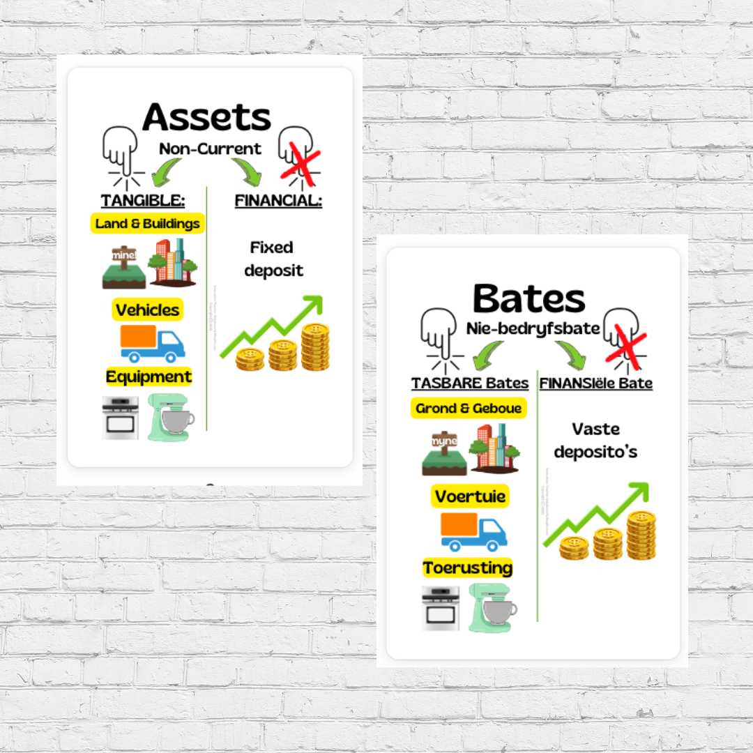 Set of 5 A3 PDF Accounting Posters (Afrikaans And English)